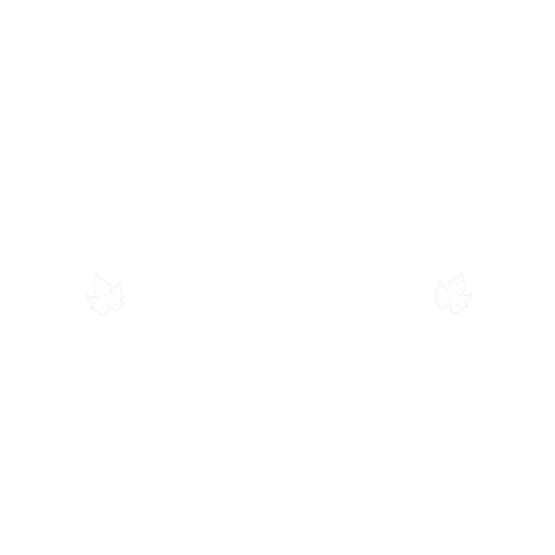 The Wine Club